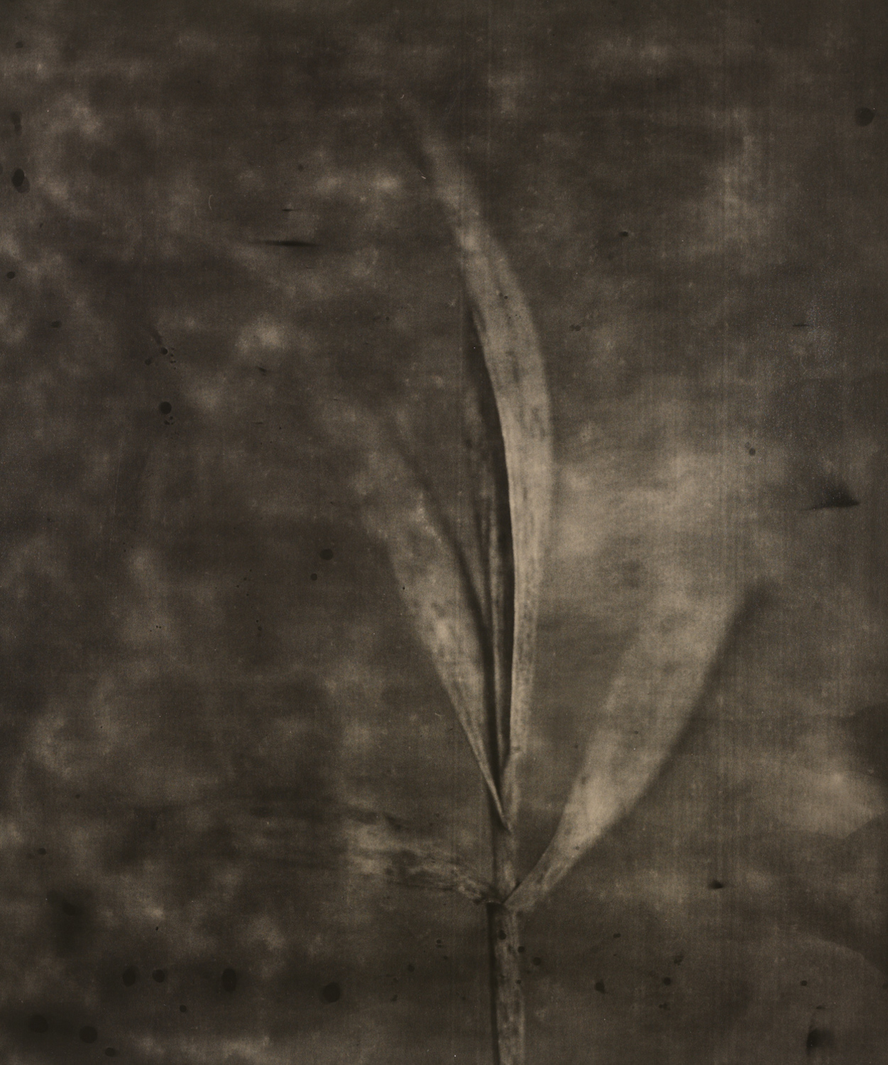 z cyklu bez tytułu, nr neg. 1020/18